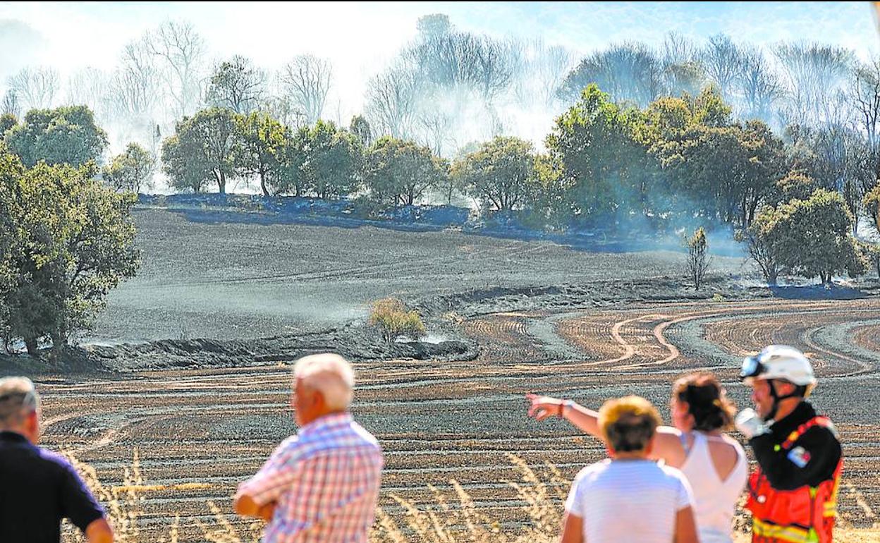 Los Incendios En Álava Devoran 90 Hectáreas De Cultivo El Correo